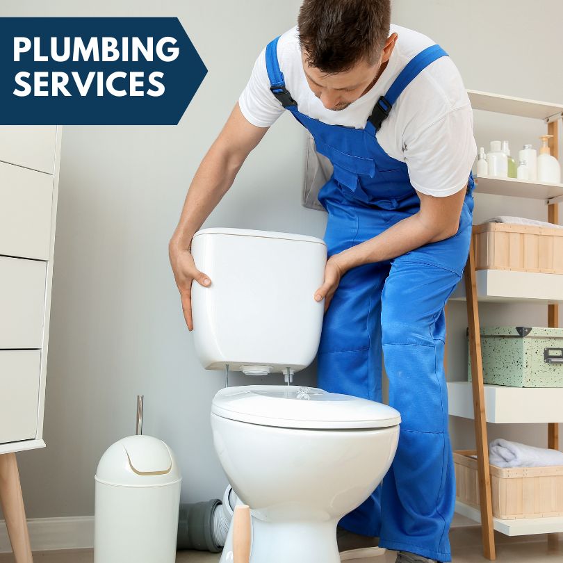 Plumbing Company in Springerton, IL